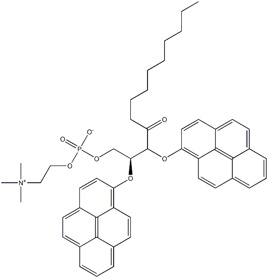 1,2-bis(pyren-1-yl)decanoyl-sn-glycero-3-phosphocholine Struktur