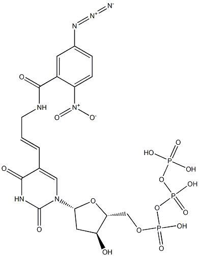 5-(N-(2-nitro-5-azidobenzoyl)-3-aminopropen-1-yl)deoxyuridine-5'-triphosphate Struktur