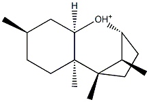 TRICHOTHECIUM Struktur