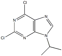 2,6-DICHLORO-9-ISOPROPYLPURINE 97% (HPLC) Struktur