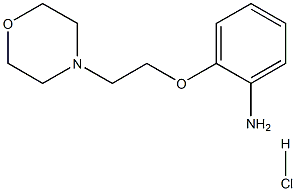 2-(2-Morpholinoethoxy)aniline, HCl Struktur