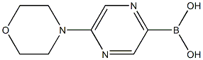 5-MORPHOLINOPYRAZINE-2-BORONIC ACID Struktur