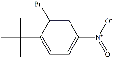 2-bromo-1-(tert-butyl)-4-nitrobenzene Struktur