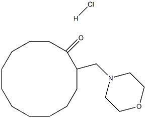 2-(morpholinomethyl)cyclododecan-1-one hydrochloride Struktur