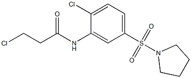 3-chloro-N-[2-chloro-5-(pyrrolidin-1-ylsulfonyl)phenyl]propanamide Struktur