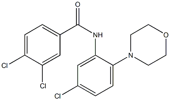 3,4-dichloro-N-(5-chloro-2-morpholinophenyl)benzenecarboxamide Struktur