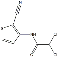 N1-(2-cyano-3-thienyl)-2,2-dichloroacetamide Struktur