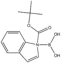 N-BOC-1-INDOLE BORONIC ACID Struktur