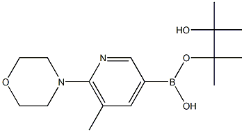 5-Methyl-6-(4-morpholino)pyridine-3-boronic acid pinacol ester Struktur