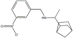 (1-{bicyclo[2.2.1]heptan-2-yl}ethyl)[(3-nitrophenyl)methyl]amine Struktur