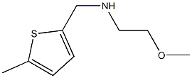 (2-methoxyethyl)[(5-methylthiophen-2-yl)methyl]amine Struktur