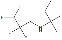 (2-methylbutan-2-yl)(2,2,3,3-tetrafluoropropyl)amine Struktur