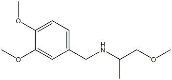 [(3,4-dimethoxyphenyl)methyl](1-methoxypropan-2-yl)amine Struktur