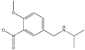 [(4-methoxy-3-nitrophenyl)methyl](propan-2-yl)amine Struktur