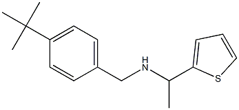 [(4-tert-butylphenyl)methyl][1-(thiophen-2-yl)ethyl]amine Struktur