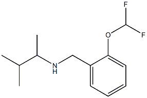 {[2-(difluoromethoxy)phenyl]methyl}(3-methylbutan-2-yl)amine Struktur