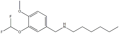 {[3-(difluoromethoxy)-4-methoxyphenyl]methyl}(hexyl)amine Struktur