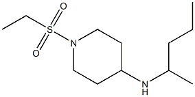 1-(ethanesulfonyl)-N-(pentan-2-yl)piperidin-4-amine Struktur