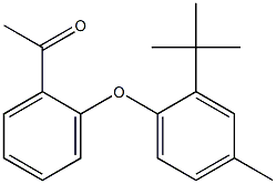 1-[2-(2-tert-butyl-4-methylphenoxy)phenyl]ethan-1-one Struktur