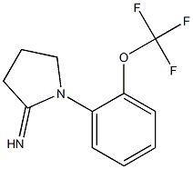 1-[2-(trifluoromethoxy)phenyl]pyrrolidin-2-imine Struktur