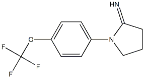 1-[4-(trifluoromethoxy)phenyl]pyrrolidin-2-imine Struktur