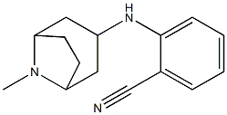 2-({8-methyl-8-azabicyclo[3.2.1]octan-3-yl}amino)benzonitrile Struktur