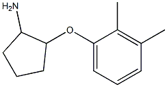 2-(2,3-dimethylphenoxy)cyclopentanamine Struktur