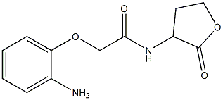 2-(2-aminophenoxy)-N-(2-oxooxolan-3-yl)acetamide Struktur