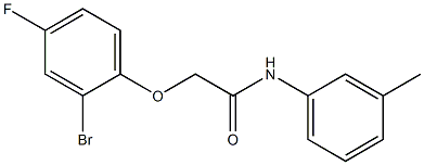 2-(2-bromo-4-fluorophenoxy)-N-(3-methylphenyl)acetamide Struktur