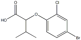 2-(4-bromo-2-chlorophenoxy)-3-methylbutanoic acid Struktur