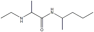 2-(ethylamino)-N-(pentan-2-yl)propanamide Struktur