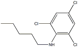 2,4,6-trichloro-N-pentylaniline Struktur