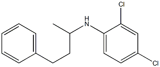 2,4-dichloro-N-(4-phenylbutan-2-yl)aniline Struktur