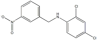 2,4-dichloro-N-[(3-nitrophenyl)methyl]aniline Struktur