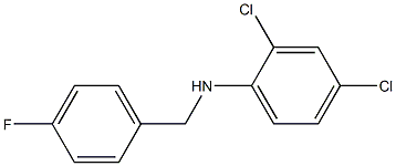 2,4-dichloro-N-[(4-fluorophenyl)methyl]aniline Struktur