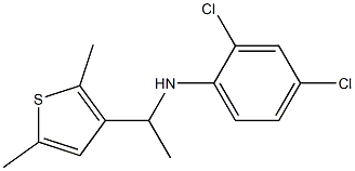 2,4-dichloro-N-[1-(2,5-dimethylthiophen-3-yl)ethyl]aniline Struktur