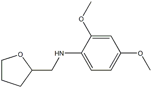 2,4-dimethoxy-N-(oxolan-2-ylmethyl)aniline Struktur