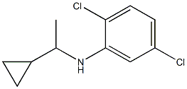 2,5-dichloro-N-(1-cyclopropylethyl)aniline Struktur