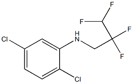 2,5-dichloro-N-(2,2,3,3-tetrafluoropropyl)aniline Struktur