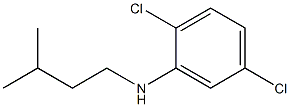 2,5-dichloro-N-(3-methylbutyl)aniline Struktur