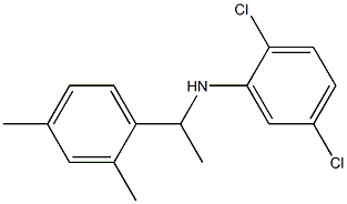 2,5-dichloro-N-[1-(2,4-dimethylphenyl)ethyl]aniline Struktur