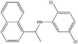 2,5-dichloro-N-[1-(naphthalen-1-yl)ethyl]aniline Struktur