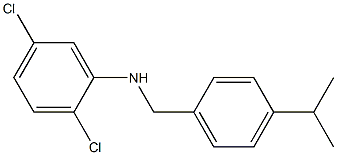 2,5-dichloro-N-{[4-(propan-2-yl)phenyl]methyl}aniline Struktur