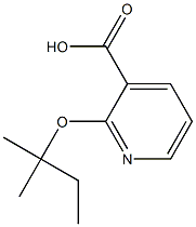 2-[(2-methylbutan-2-yl)oxy]pyridine-3-carboxylic acid Struktur