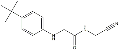 2-[(4-tert-butylphenyl)amino]-N-(cyanomethyl)acetamide Struktur