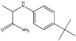 2-[(4-tert-butylphenyl)amino]propanamide Struktur