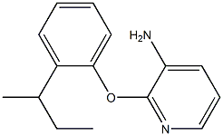 2-[2-(butan-2-yl)phenoxy]pyridin-3-amine Struktur