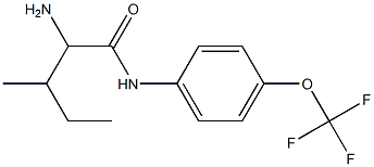 2-amino-3-methyl-N-[4-(trifluoromethoxy)phenyl]pentanamide Struktur