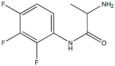 2-amino-N-(2,3,4-trifluorophenyl)propanamide Struktur