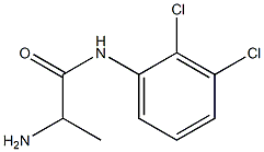 2-amino-N-(2,3-dichlorophenyl)propanamide Struktur